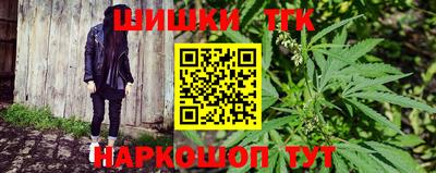 шишки Гагарин