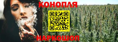 шишки Гагарин