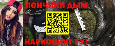 шишки Гагарин