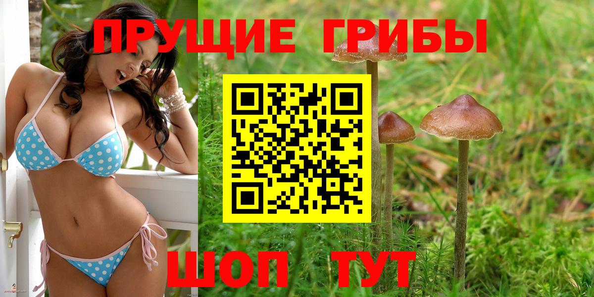 Благодарный  Псилоцибиновые грибы Cubensis  Вход с VPN 